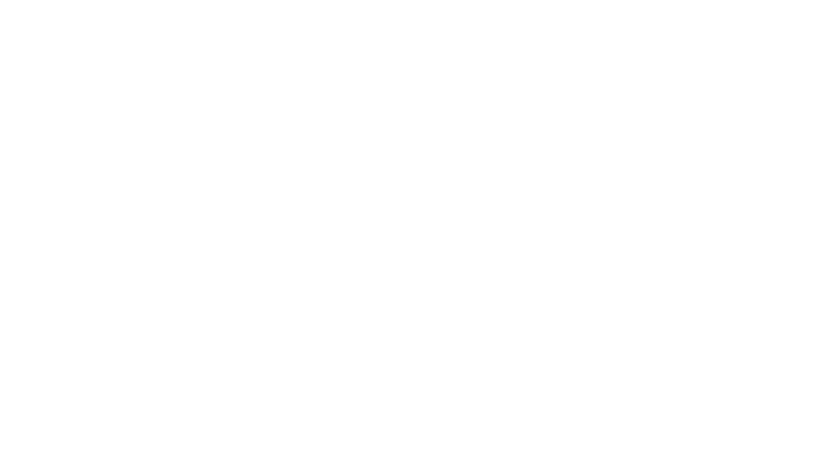 IMPACT VIDEO